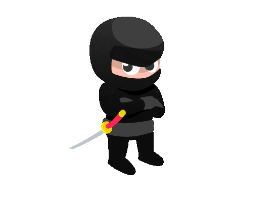Ninja 4