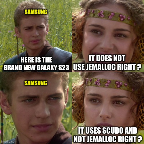 Anakin Padme meme