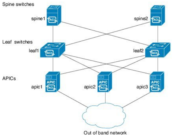 ACI topology