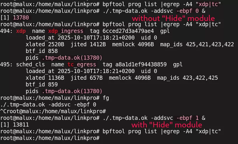 Demo hiding BPF programs