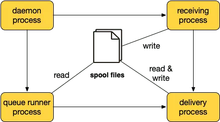 exim-process