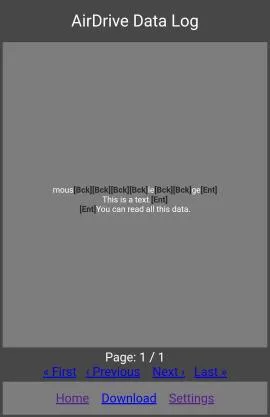 Keylogger logs.