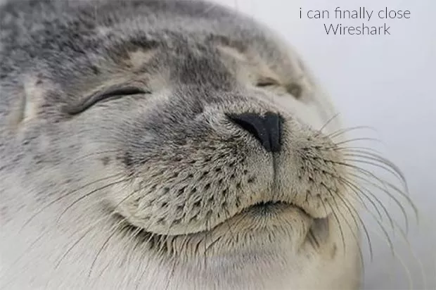 Satisfied seal meme