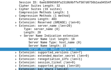 A Wireshark capture with the TLS server name extension highlighted