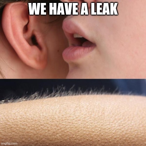We have a leak meme