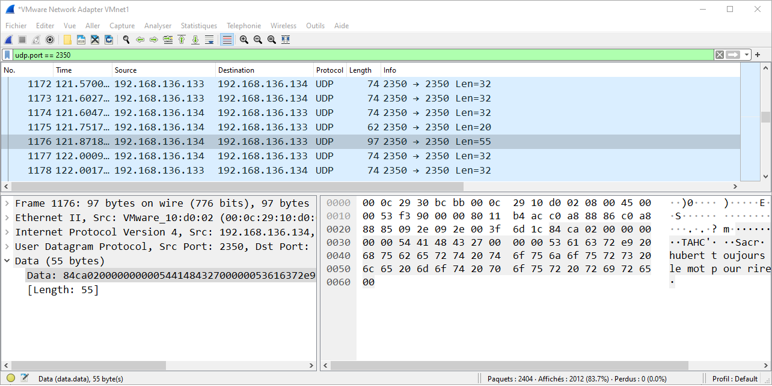 Wireshark Capture