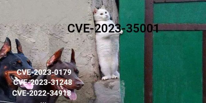 cve hiding