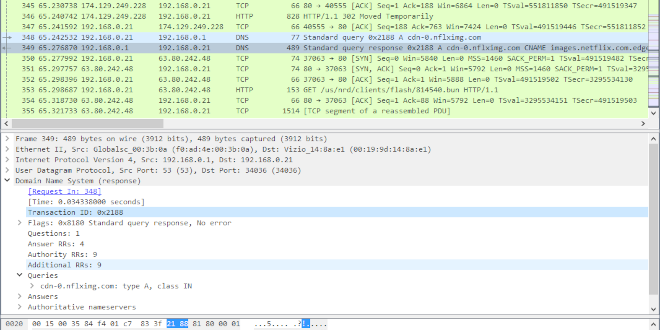 a capture of the WireShark tool
