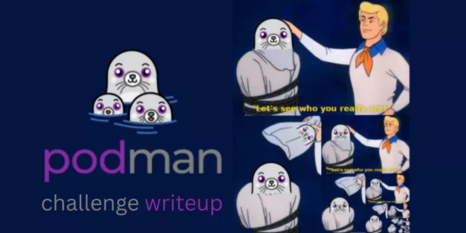 Challenge writeup