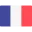 icon-french-flag